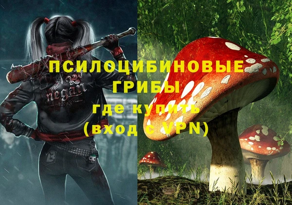 мяу мяу мука Ельня